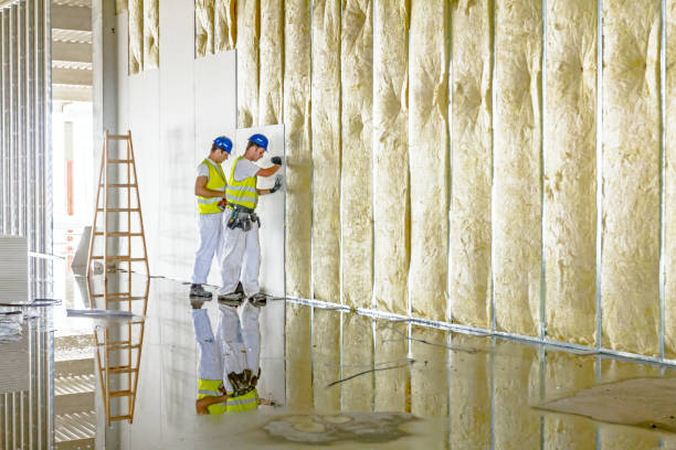 Professional Insulation Contractor in Moscow, PA